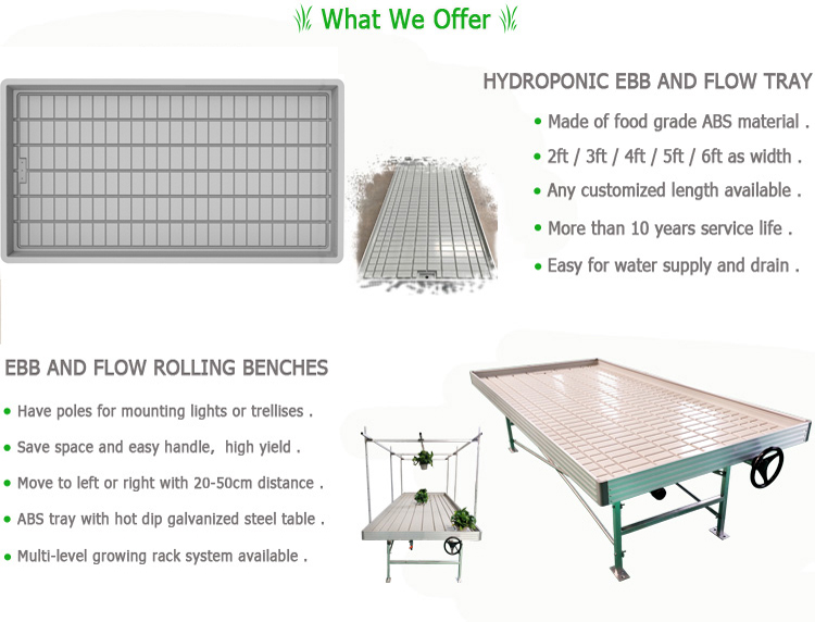 Hydroponic Flood Tables Seedbed Trays Greenhouse Benches Ebb and Flow Table