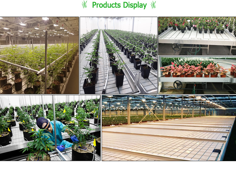 Hydroponic Flood Tables Seedbed Trays Greenhouse Benches Ebb and Flow Table